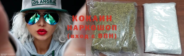 дживик Пестово