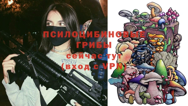 2c-b Арсеньев