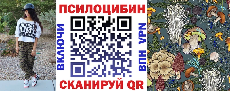 omg рабочий сайт  Краснослободск  Псилоцибиновые грибы Cubensis 